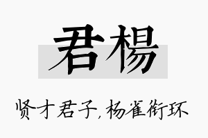 君杨名字的寓意及含义