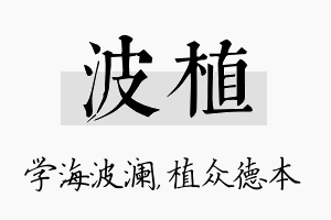 波植名字的寓意及含义