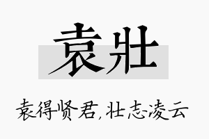 袁壮名字的寓意及含义