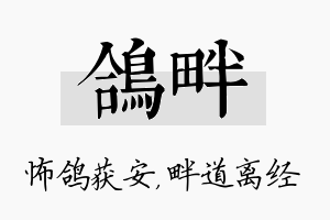 鸽畔名字的寓意及含义