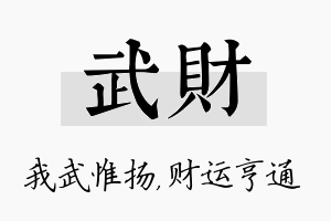 武财名字的寓意及含义