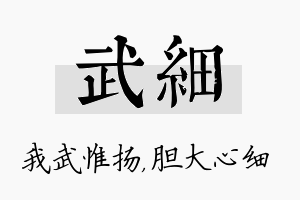 武细名字的寓意及含义