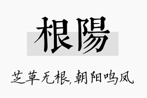 根阳名字的寓意及含义