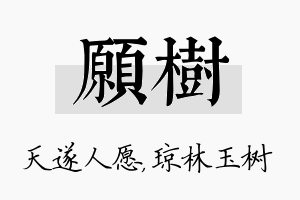 愿树名字的寓意及含义