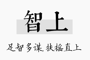 智上名字的寓意及含义