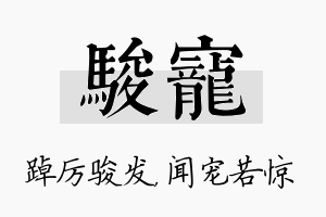 骏宠名字的寓意及含义