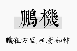 鹏机名字的寓意及含义