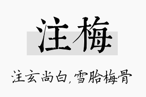 注梅名字的寓意及含义