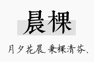 晨棵名字的寓意及含义