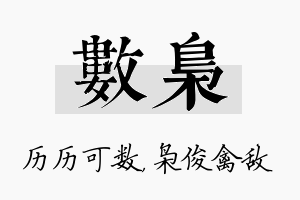 数枭名字的寓意及含义