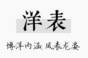 洋表名字的寓意及含义