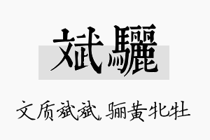 斌骊名字的寓意及含义