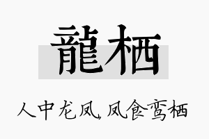 龙栖名字的寓意及含义