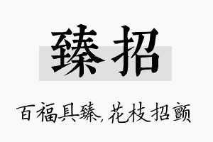 臻招名字的寓意及含义