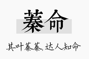 蓁命名字的寓意及含义