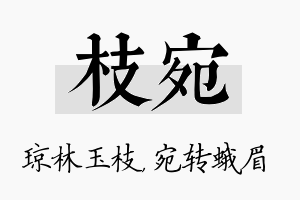 枝宛名字的寓意及含义