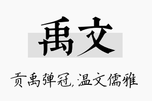 禹文名字的寓意及含义