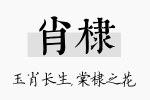 肖棣名字的寓意及含义