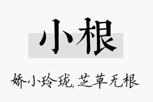 小根名字的寓意及含义