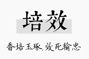 培效名字的寓意及含义