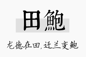 田鲍名字的寓意及含义