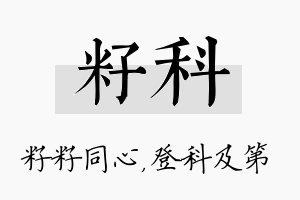 籽科名字的寓意及含义