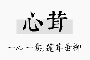 心茸名字的寓意及含义