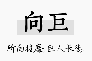 向巨名字的寓意及含义