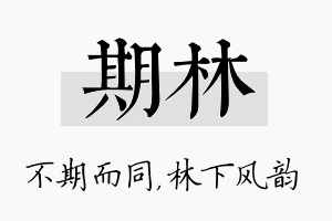 期林名字的寓意及含义