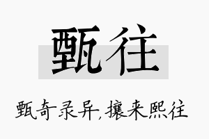 甄往名字的寓意及含义