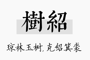 树绍名字的寓意及含义