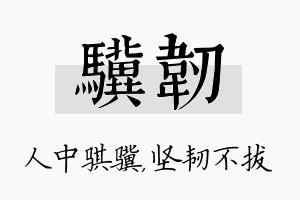 骥韧名字的寓意及含义