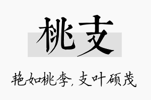 桃支名字的寓意及含义