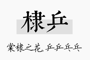 棣乒名字的寓意及含义