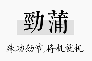 劲蒲名字的寓意及含义