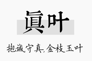 真叶名字的寓意及含义