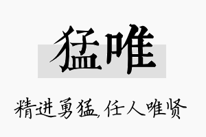 猛唯名字的寓意及含义