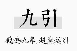 九引名字的寓意及含义