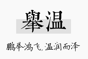 举温名字的寓意及含义