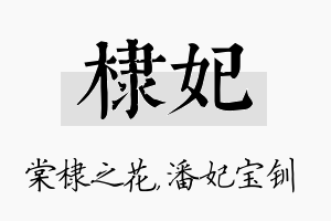 棣妃名字的寓意及含义