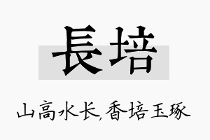 长培名字的寓意及含义