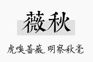 薇秋名字的寓意及含义