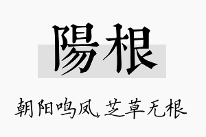 阳根名字的寓意及含义