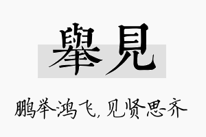 举见名字的寓意及含义