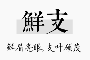 鲜支名字的寓意及含义