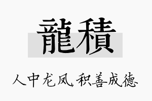 龙积名字的寓意及含义