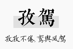 孜驾名字的寓意及含义