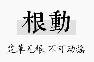 根动名字的寓意及含义