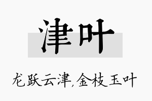 津叶名字的寓意及含义