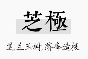 芝极名字的寓意及含义